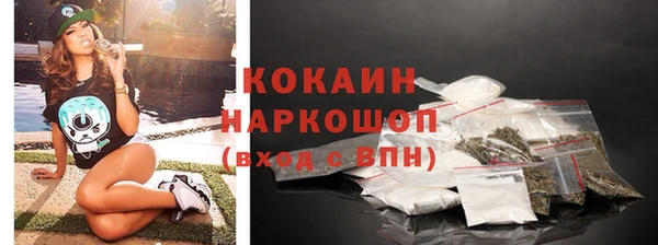 ECSTASY Горняк