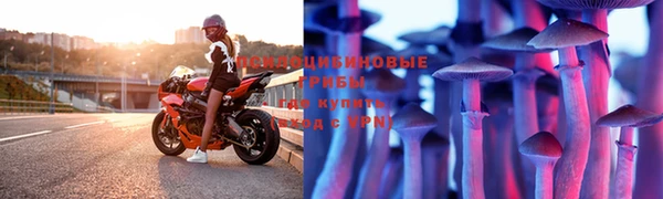 стафф Горнозаводск