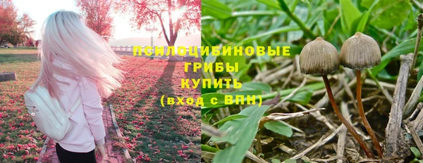 альфа пвп Горно-Алтайск